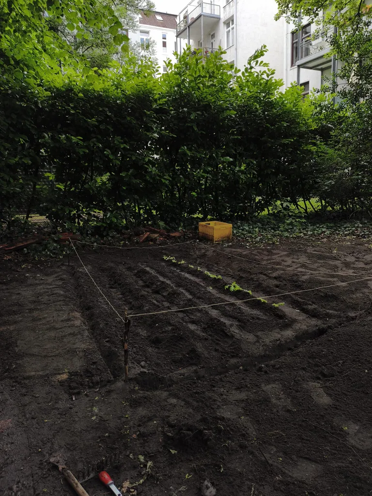 Prepared garden beds in the Garden Lodge plot in Hamburg