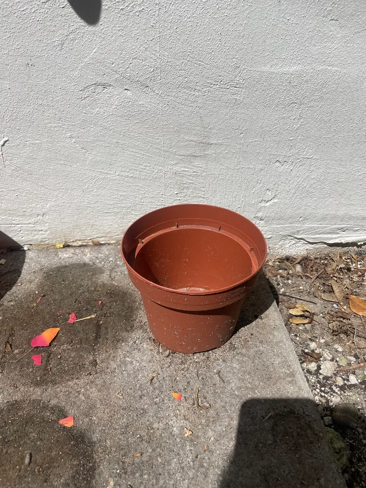 Plant pot — Pflanztopf