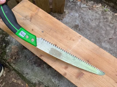 Pruning saw — Astsäge
