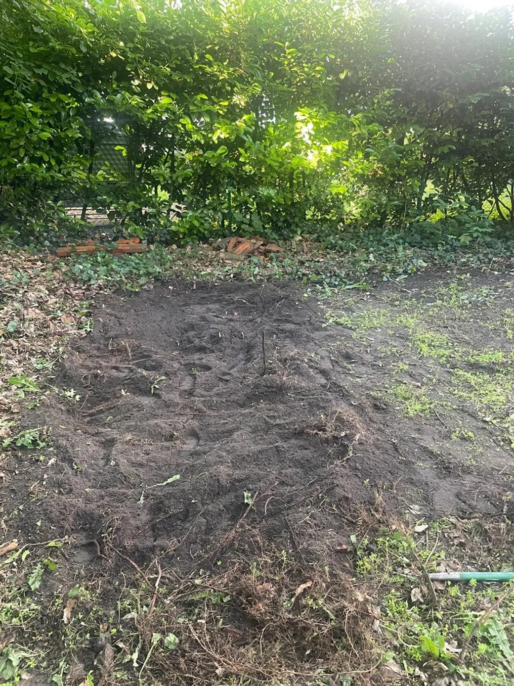 Clearing the land